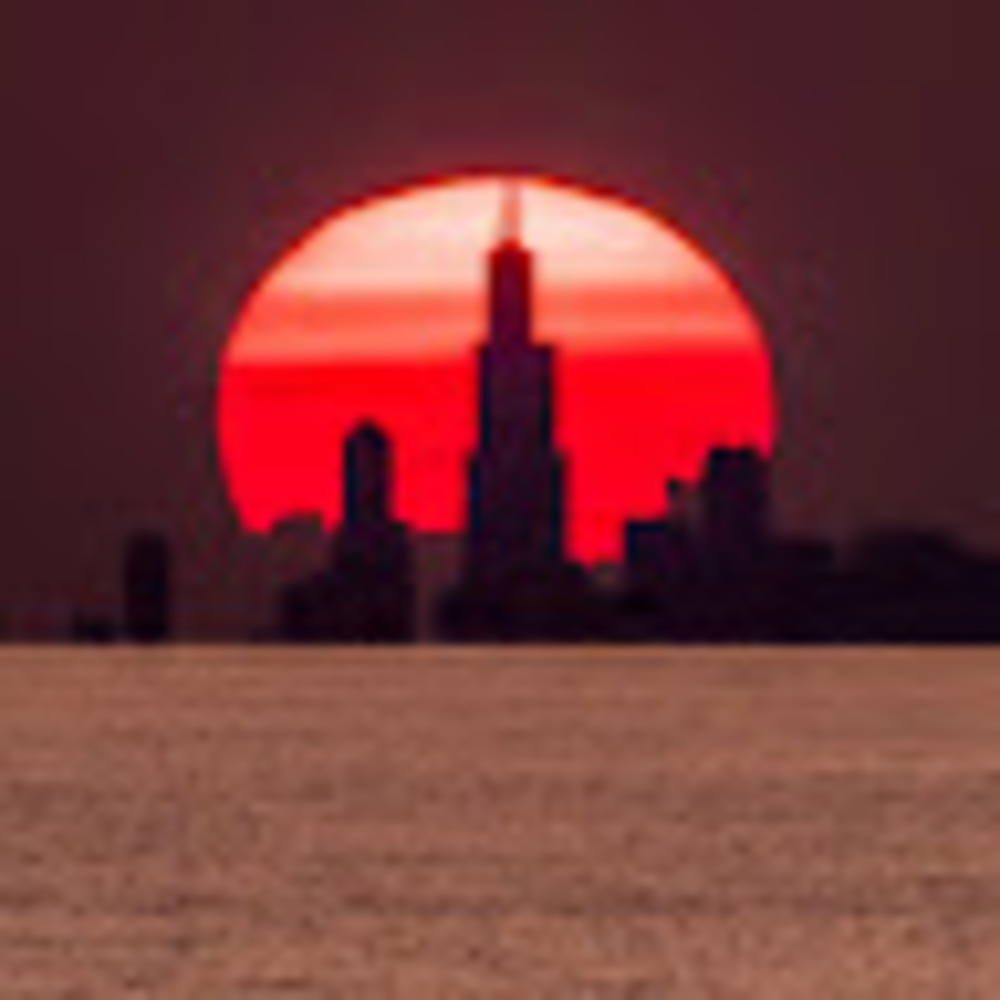 Meet your Posher, Owen